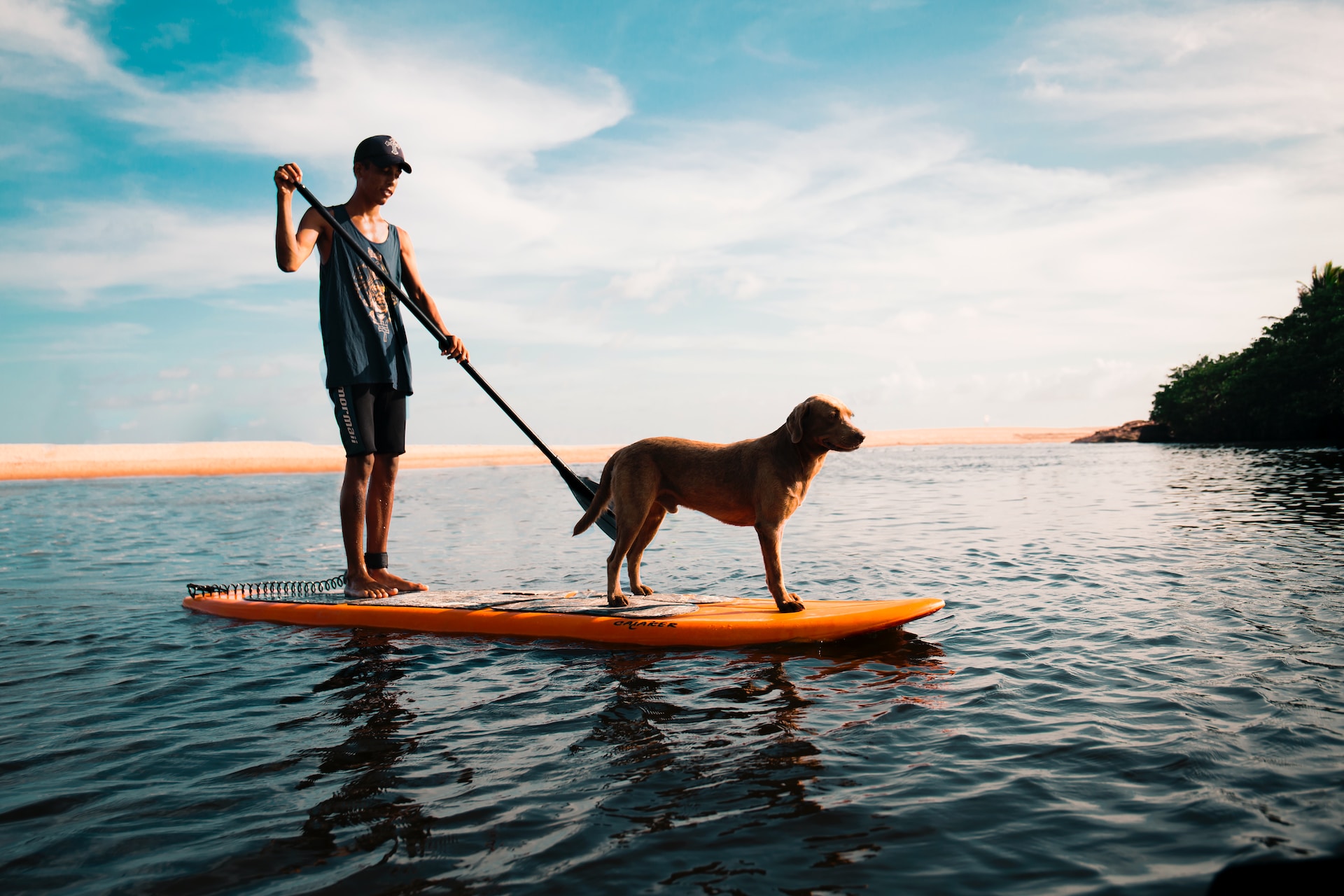 Imagen de perro con su dueño navegando en rio